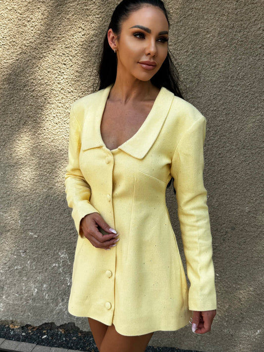Soleil Coat Dress