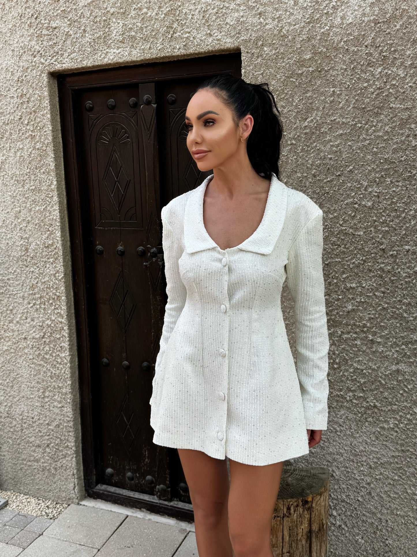 Snowfall Coat Dress