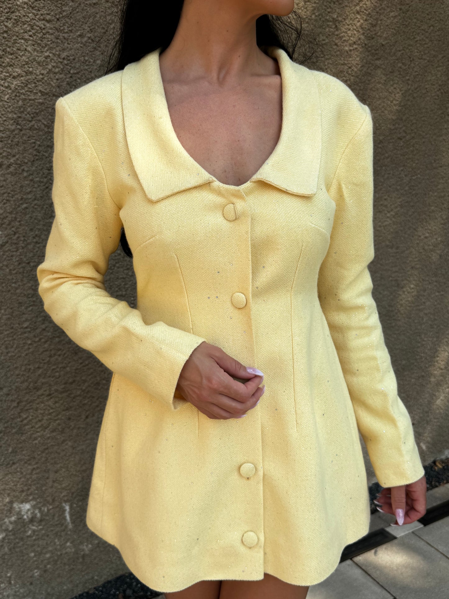 Soleil Coat Dress