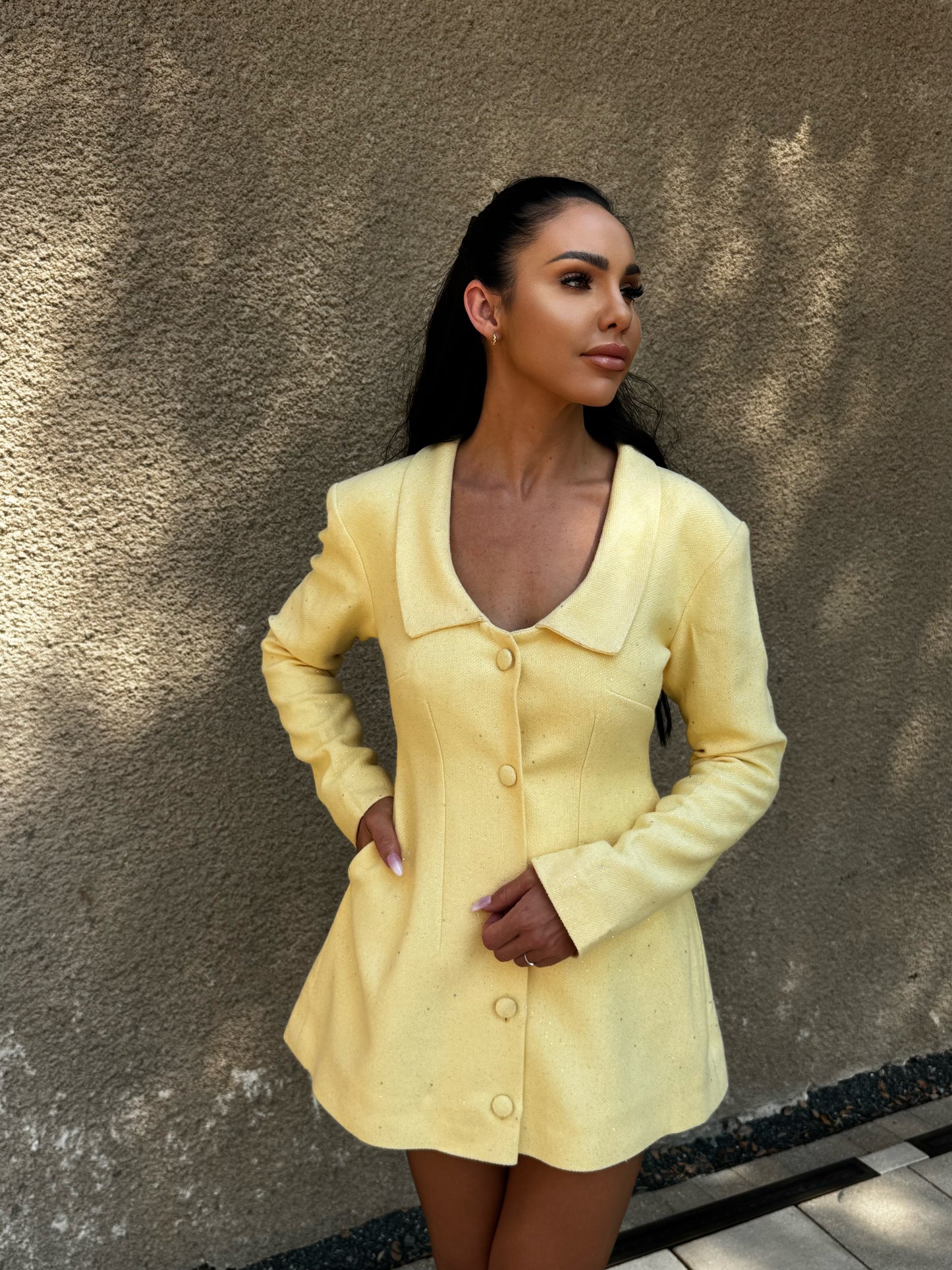Soleil Coat Dress