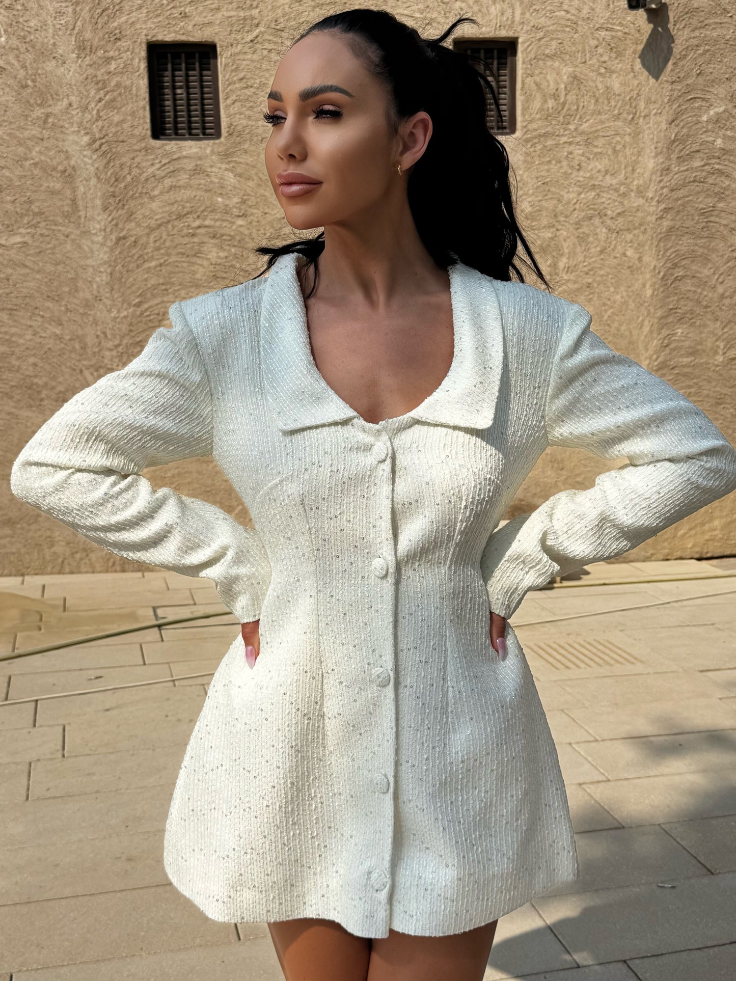 Snowfall Coat Dress