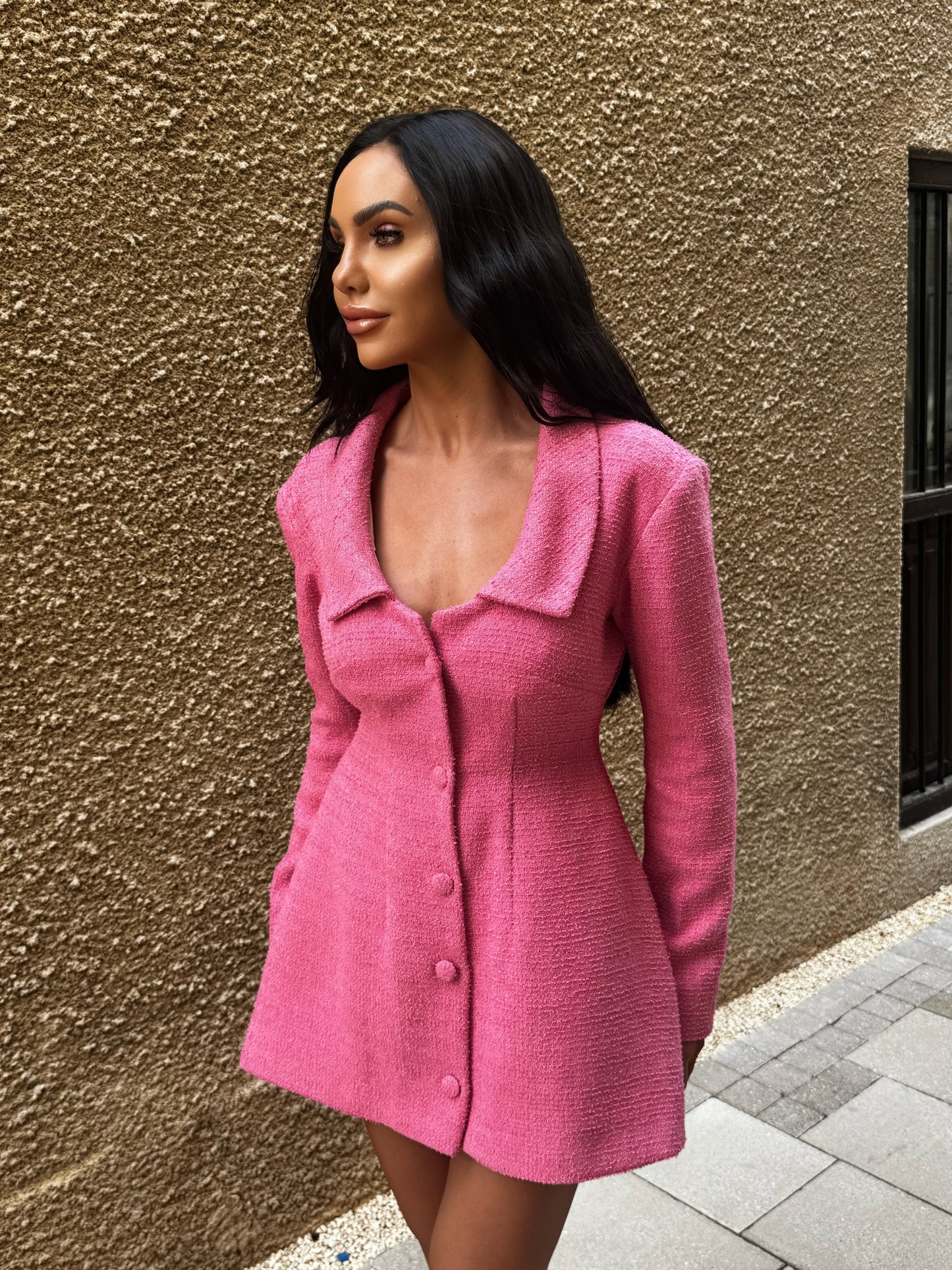 Rosé Coat Dress