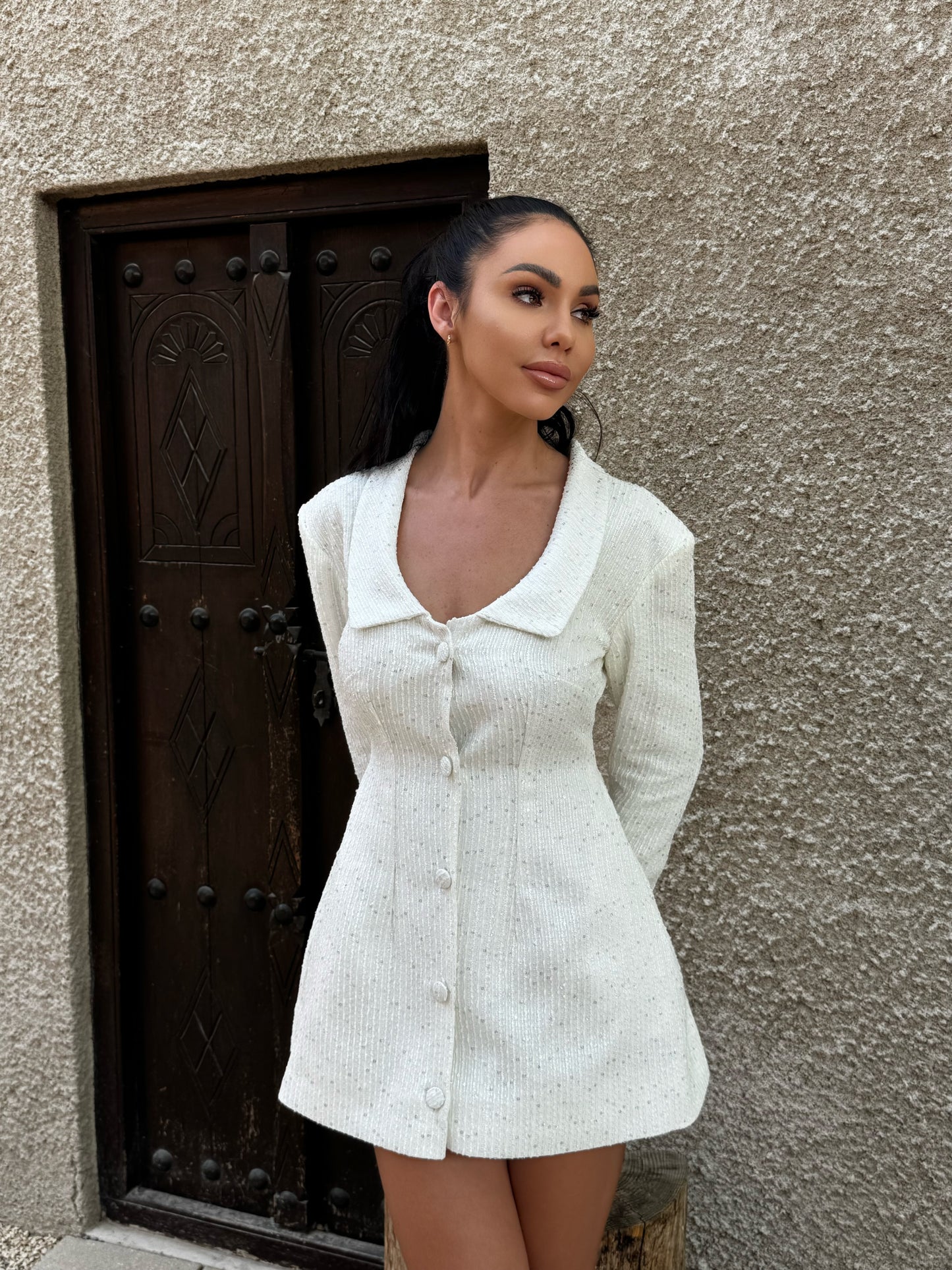 Snowfall Coat Dress