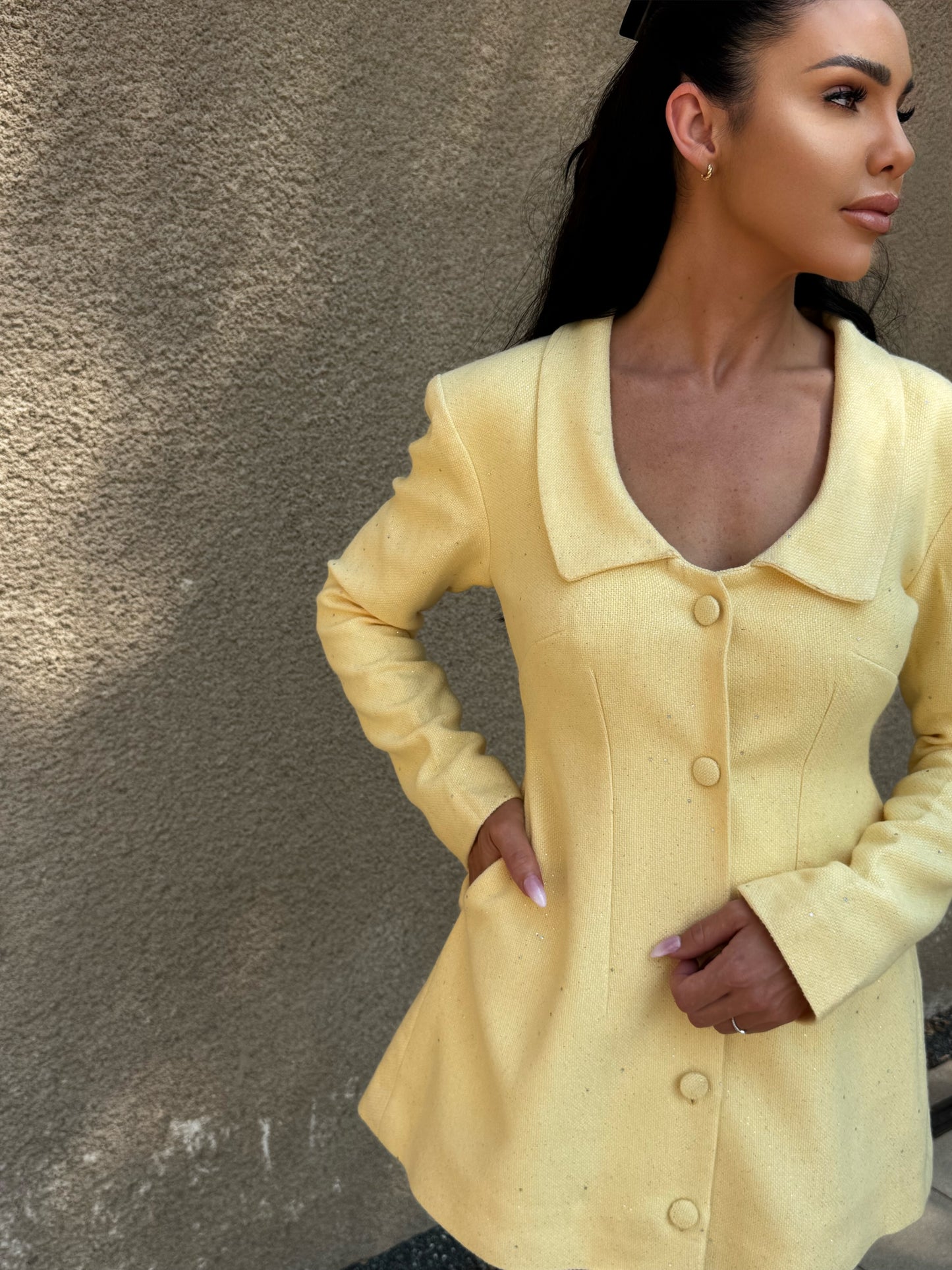 Soleil Coat Dress