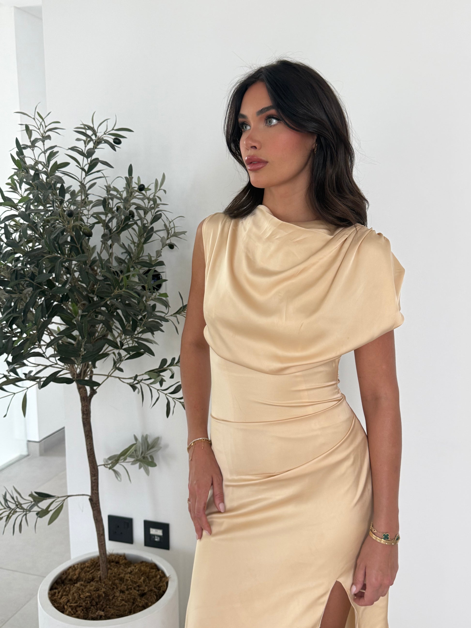 The Noelle Satin Drape Dress — Champagne XXL / Chocolate Brown The Noelle Satin Drape Dress — Champagne XXL / Chocolate Brown